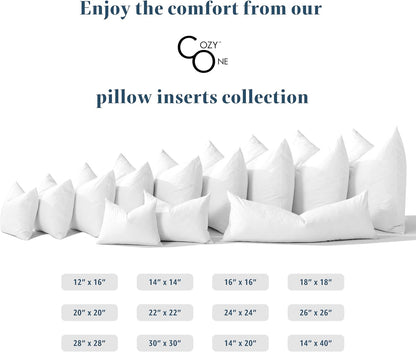 Down Feather Pillow Inserts 2 Pack