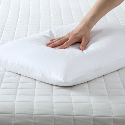 Classic Down/Feather Pillow - 2PC Set