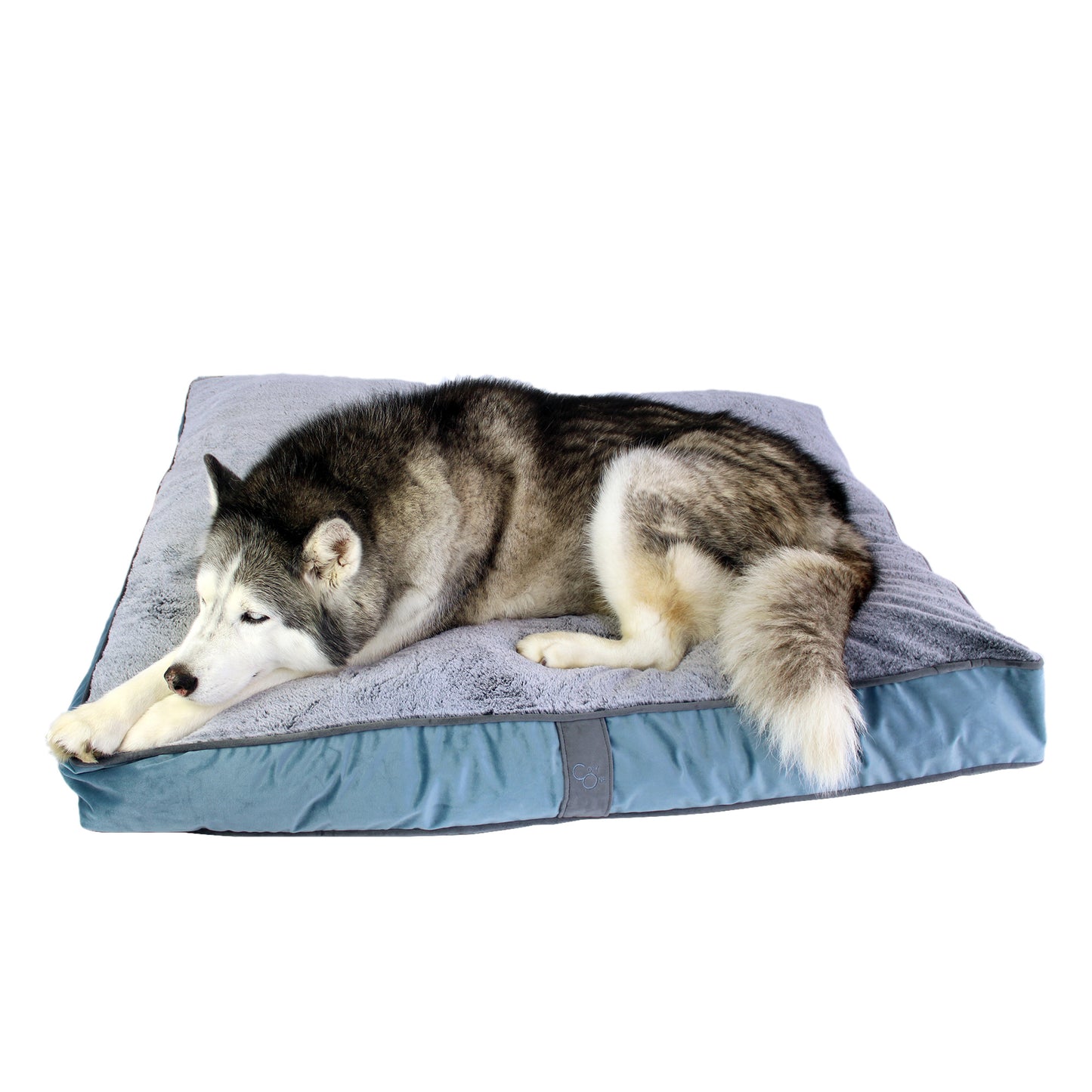Plush Top Rectangle Pet Bed