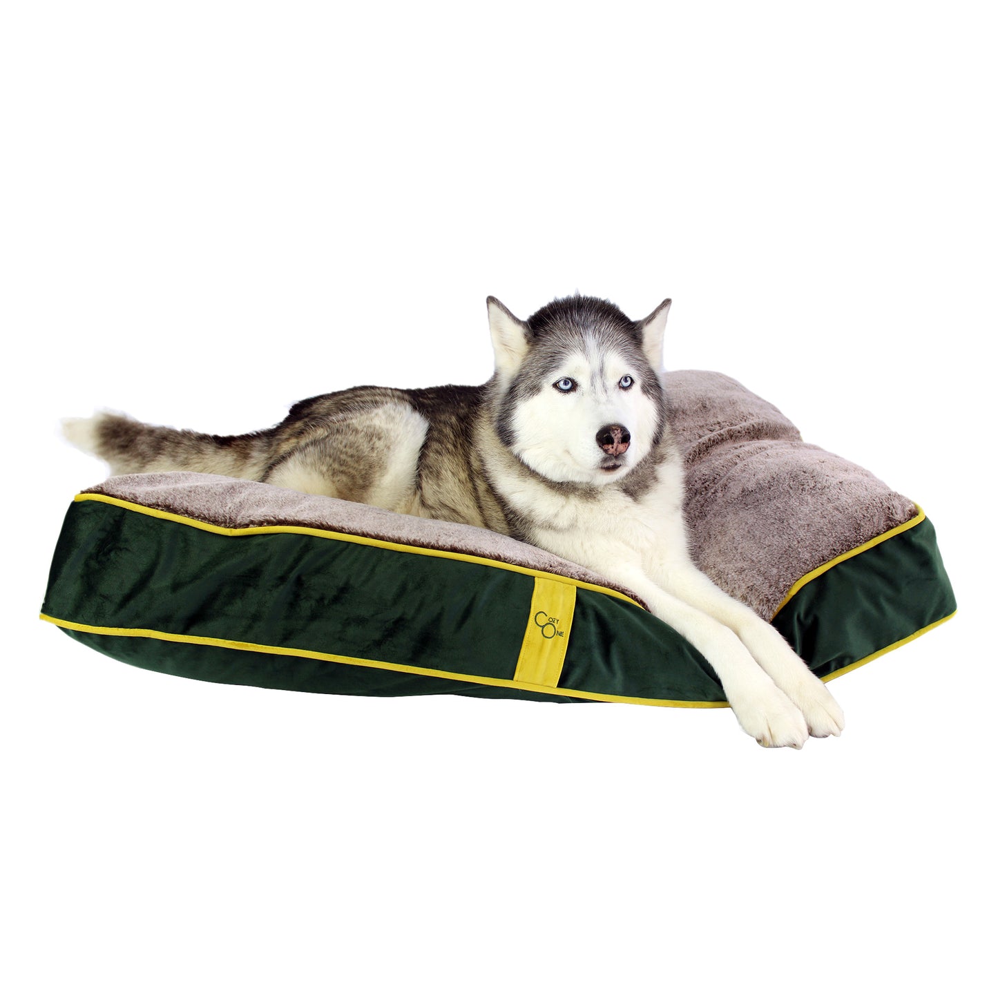 Plush Top Rectangle Pet Bed