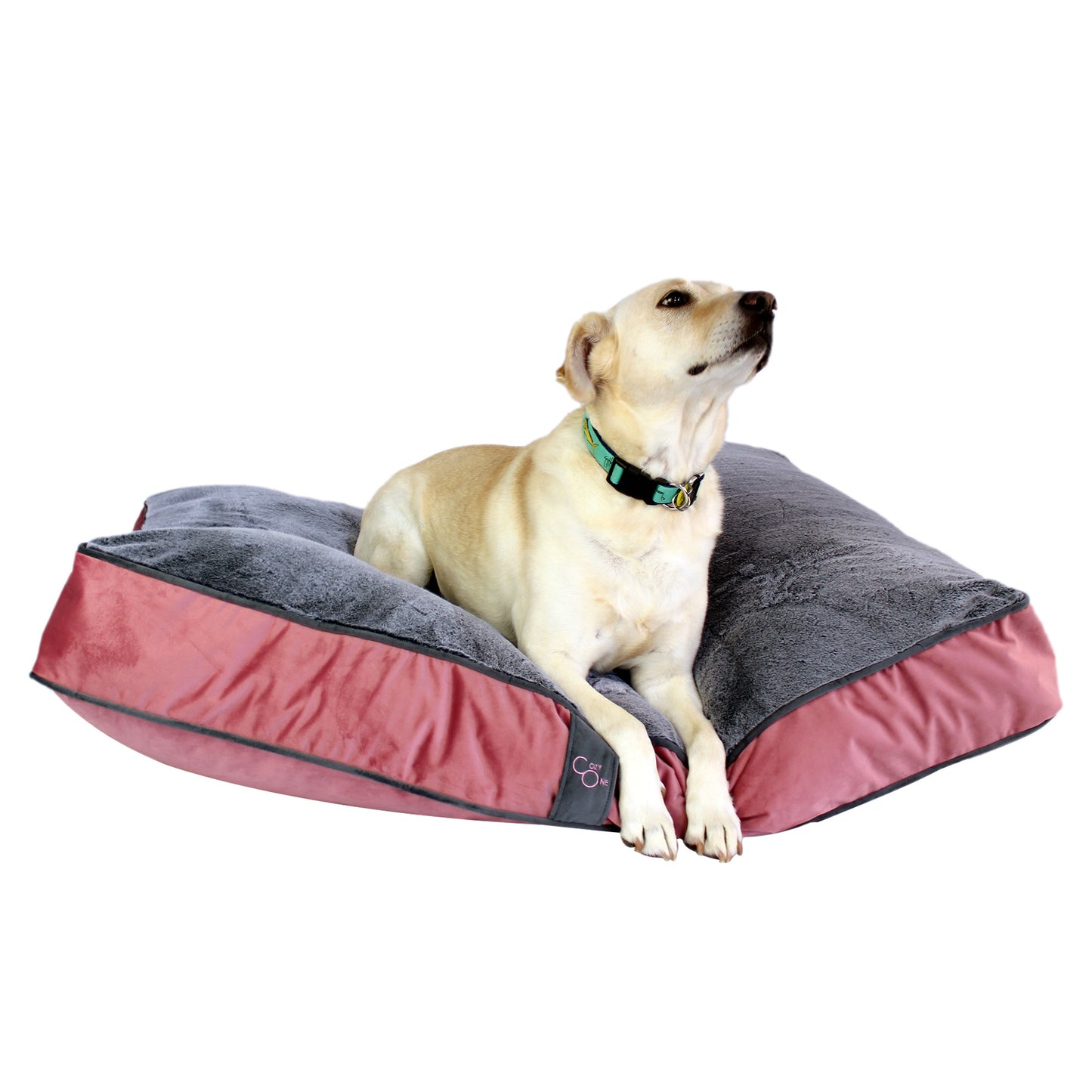 Plush Top Rectangle Pet Bed